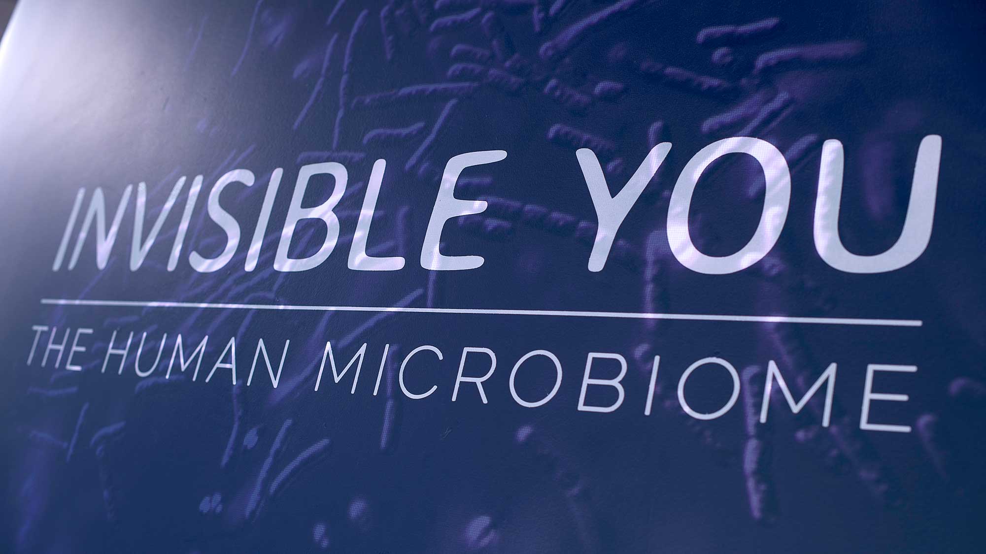 Invisible You — the human microbiome