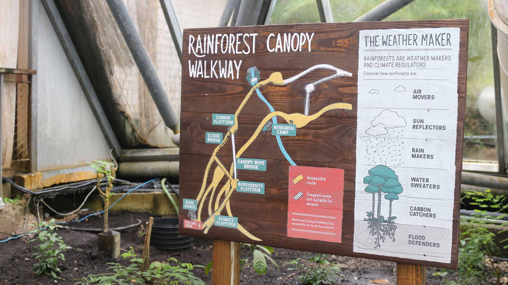 Rainforest Canopy Walkway